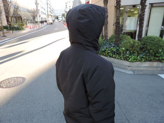 INTERFACE FALL DOWN HOOD.JPG